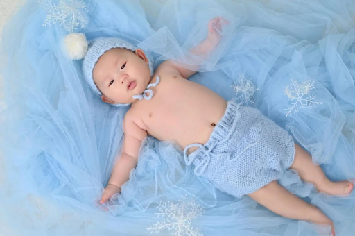 德清宝宝树怎么样